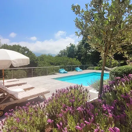 Luxury Contemporary With Mountain Views Pool Cinema Hot Tub