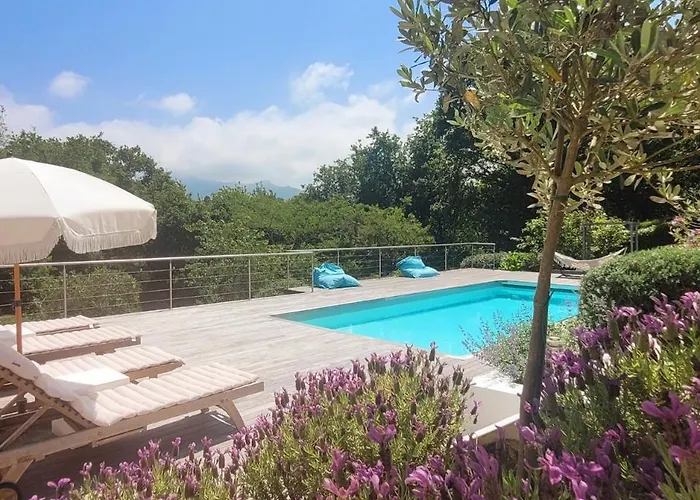 Luxury Contemporary With Mountain Views Pool Cinema Hot Tub